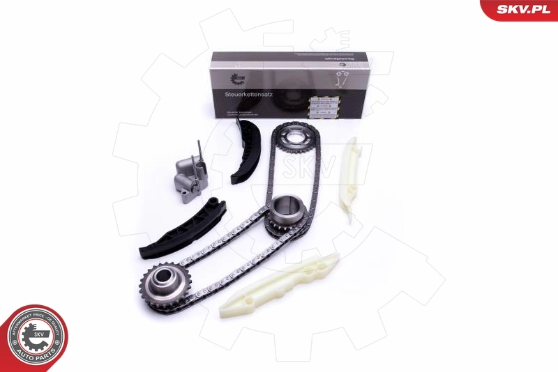 Timing Chain Kit